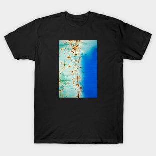 Stain  of rust 2 T-Shirt